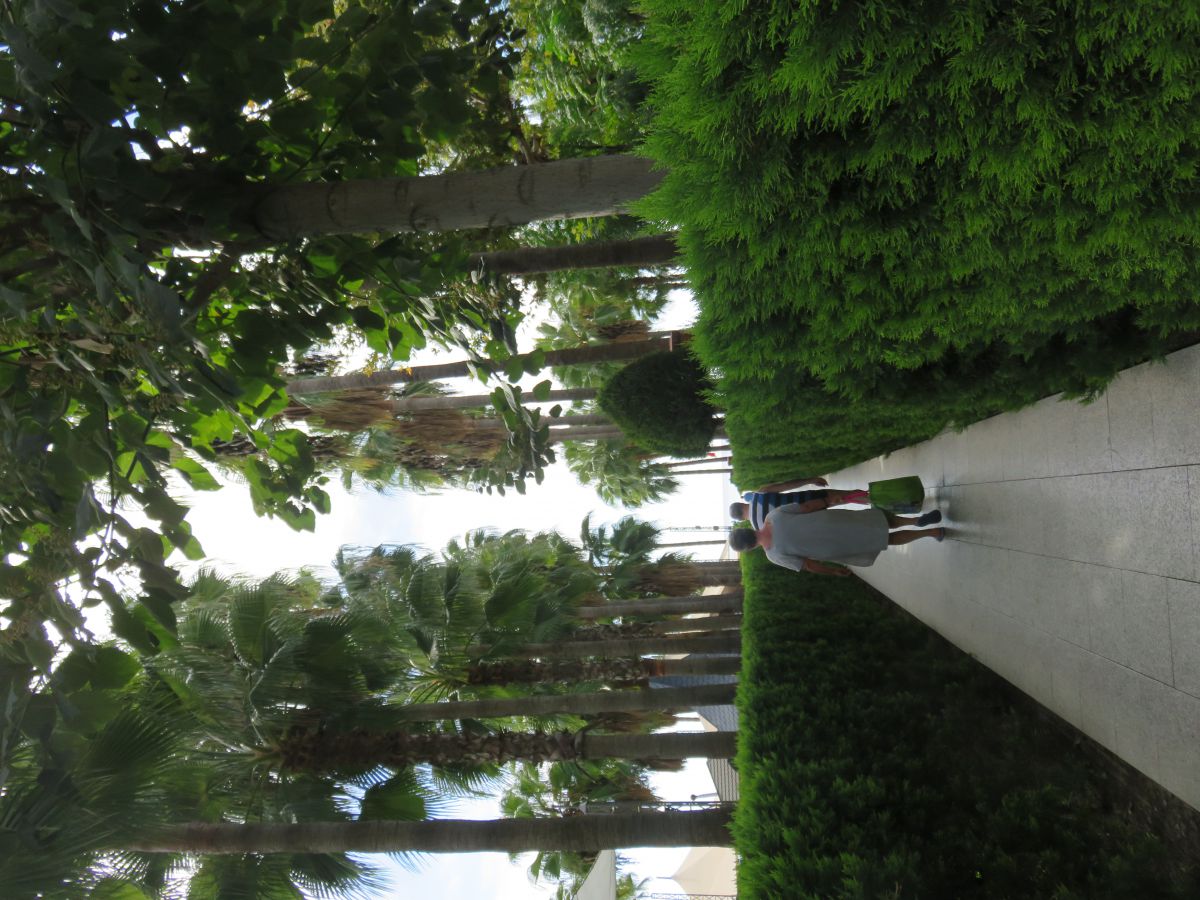 imagini hotel Miramare Beach Side